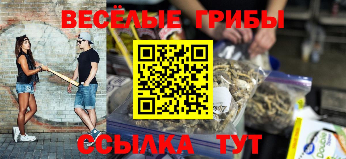 Псилоцибиновые грибы Psilocybine cubensis Азов