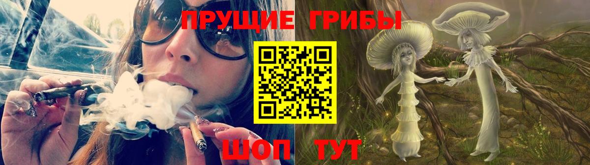 Азов  Галлюциногенные грибы Cubensis  Вход с VPN 